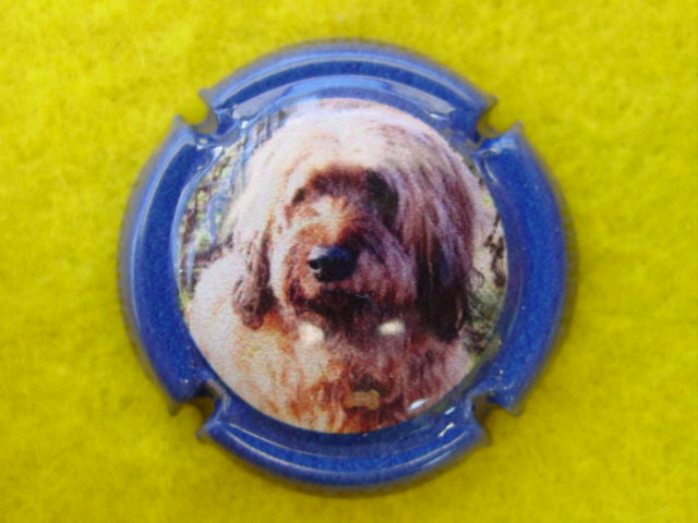 Photo de la capsule