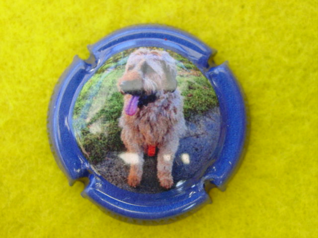 Photo de la capsule