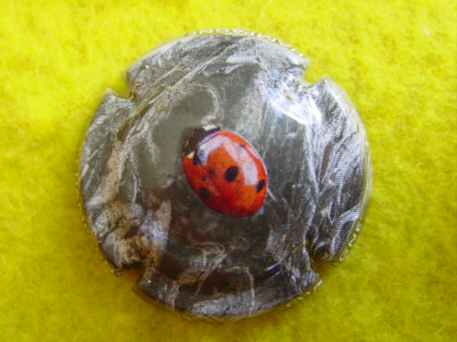 Photo de la capsule