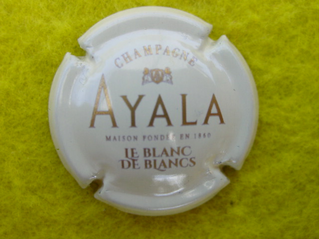 Photo de la capsule