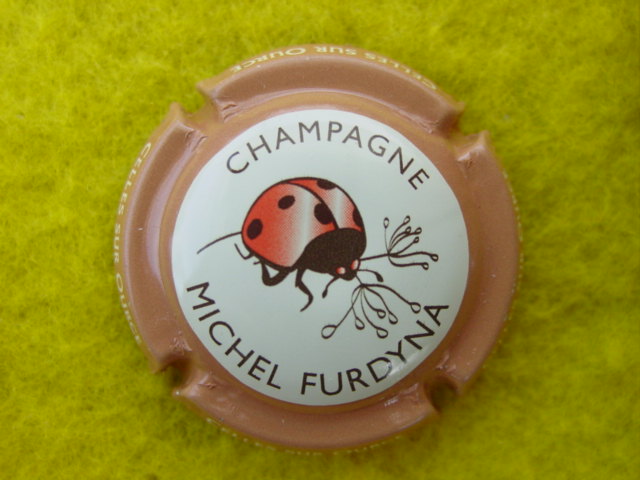 Photo de la capsule