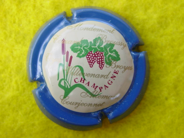 Photo de la capsule