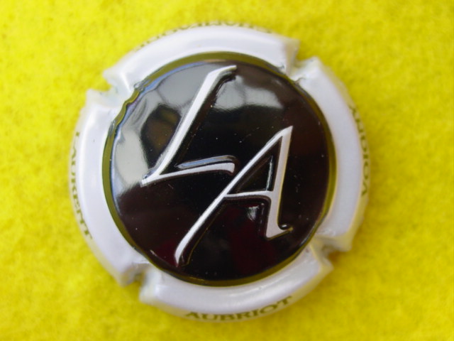 Photo de la capsule