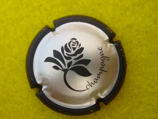 Photo de la capsule