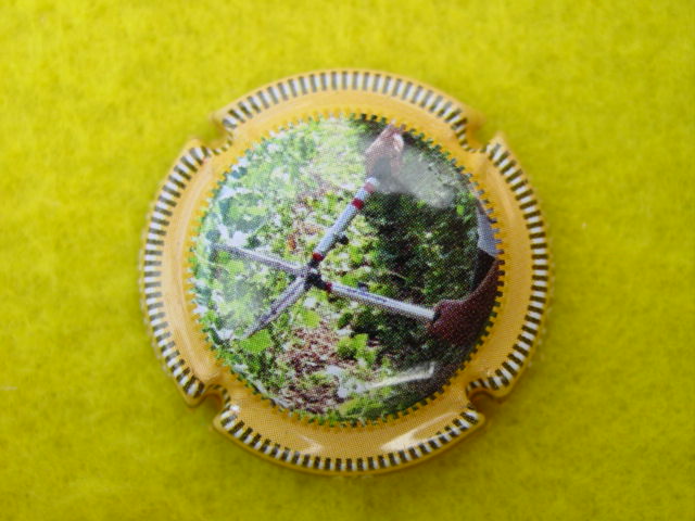 Photo de la capsule