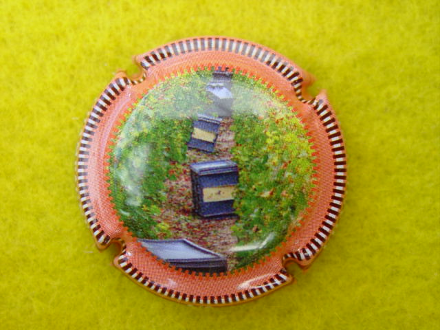 Photo de la capsule