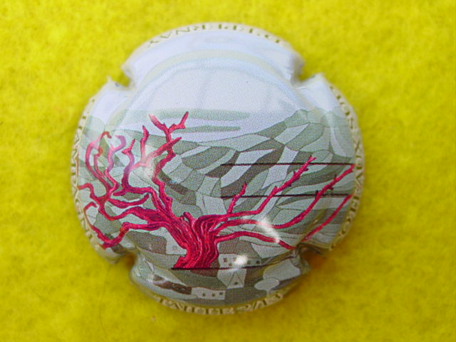 Photo de la capsule