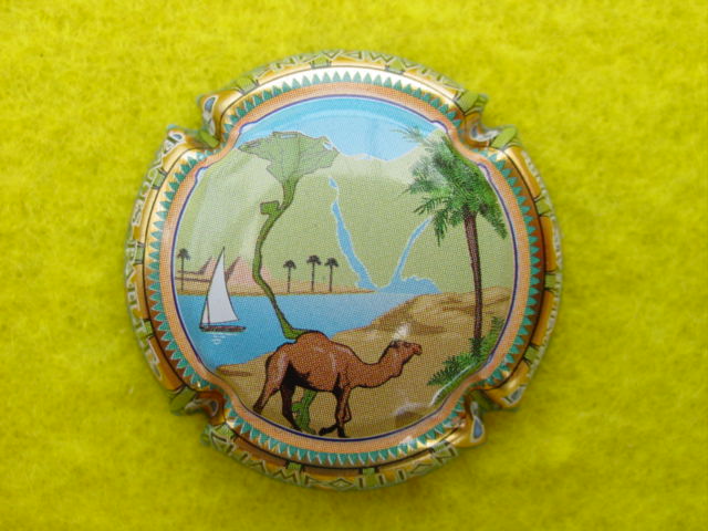 Photo de la capsule