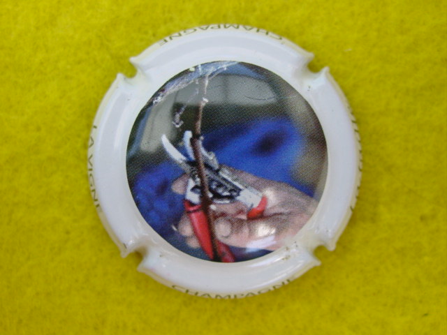 Photo de la capsule