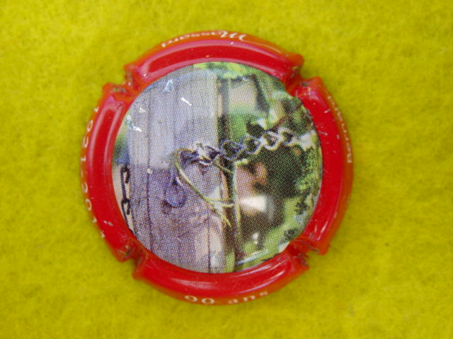 Photo de la capsule