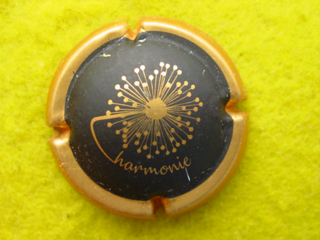Photo de la capsule