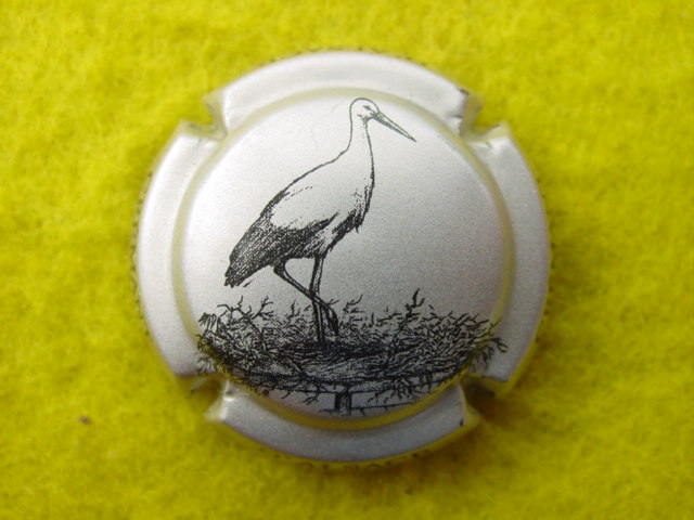 Photo de la capsule
