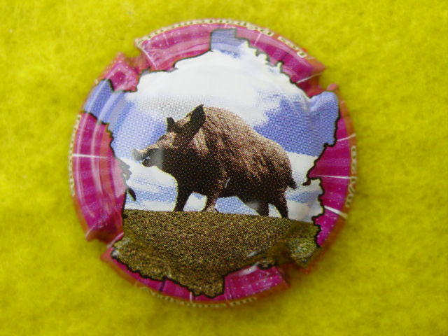 Photo de la capsule