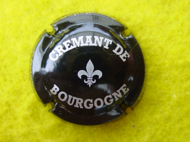 Photo de la capsule