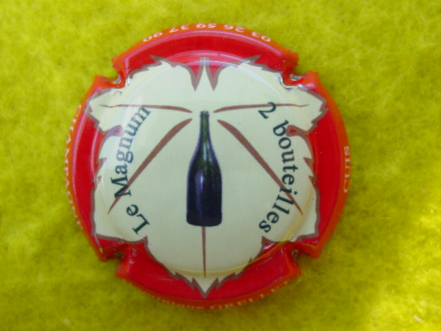 Photo de la capsule