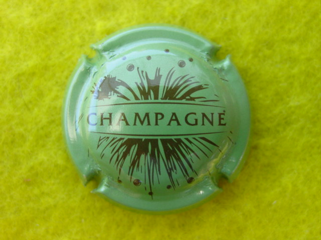 Photo de la capsule