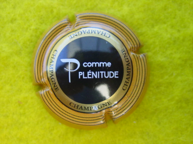 Photo de la capsule
