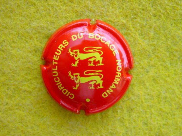 Photo de la capsule