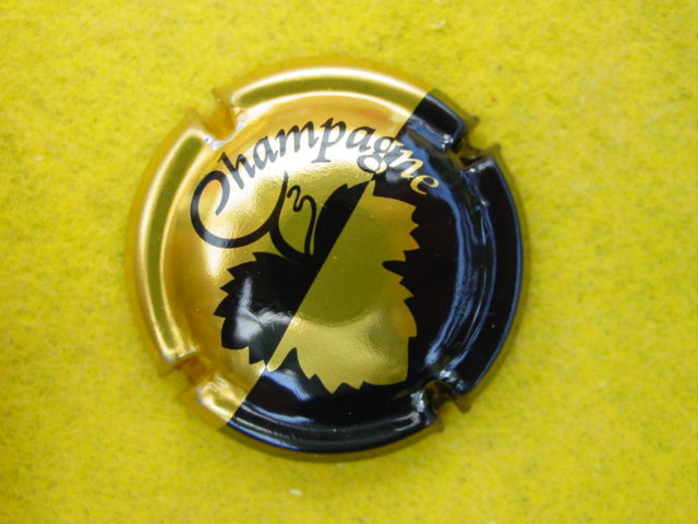 Photo de la capsule