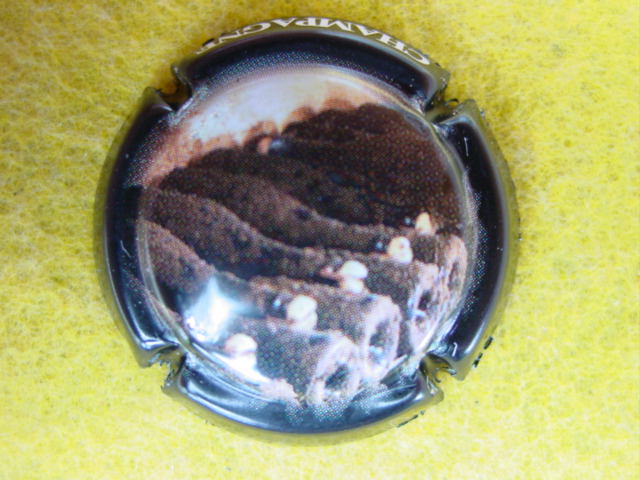 Photo de la capsule