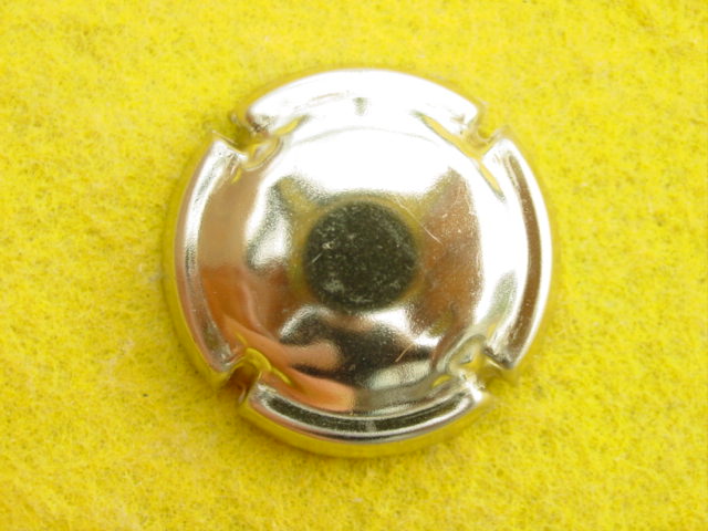 Photo de la capsule
