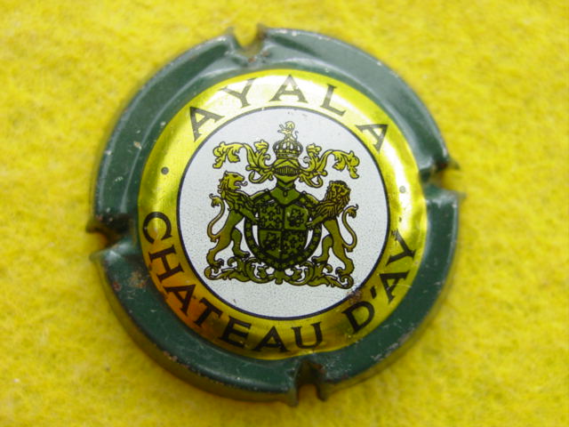 Photo de la capsule