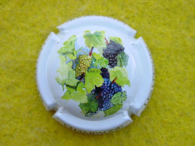 Photo de la capsule