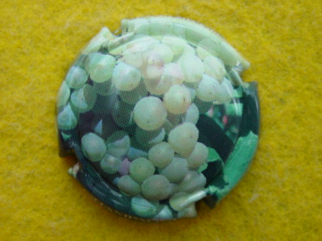 Photo de la capsule