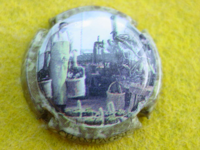 Photo de la capsule