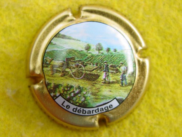Photo de la capsule