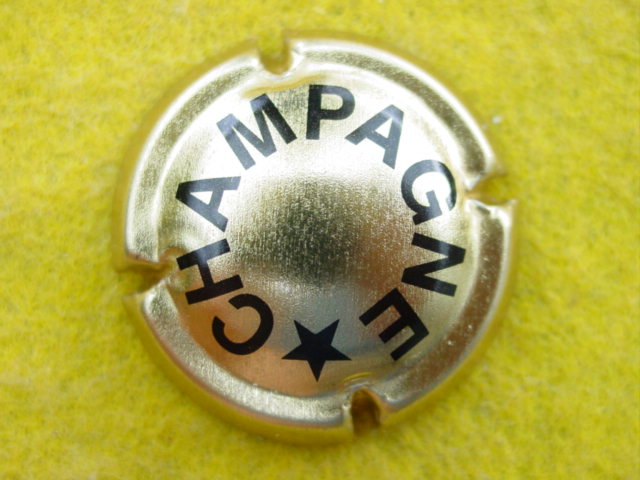 Photo de la capsule