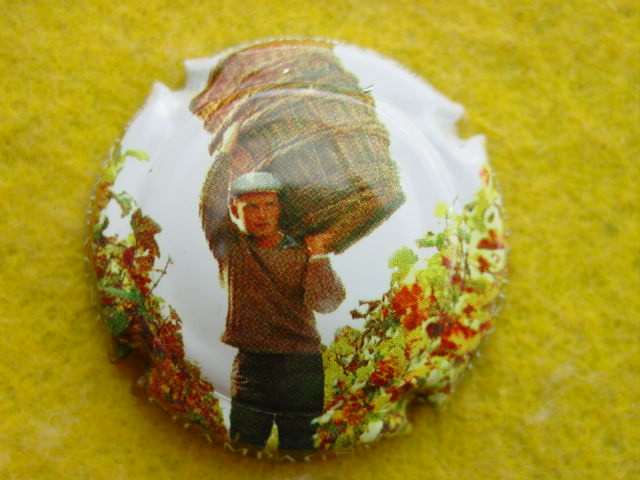 Photo de la capsule