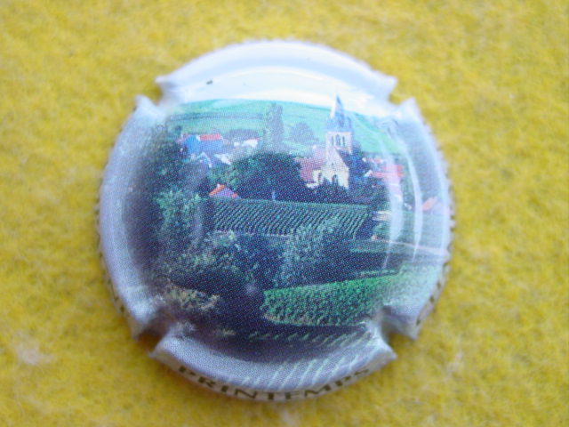 Photo de la capsule