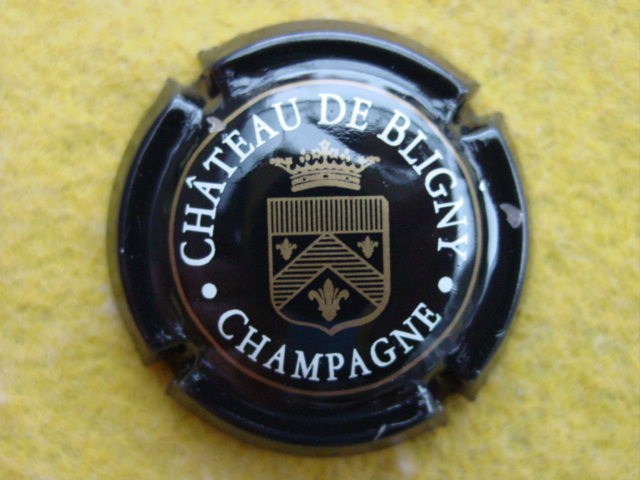 Photo de la capsule