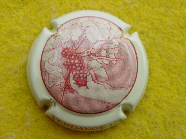 Photo de la capsule