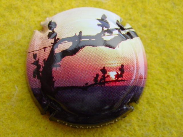 Photo de la capsule