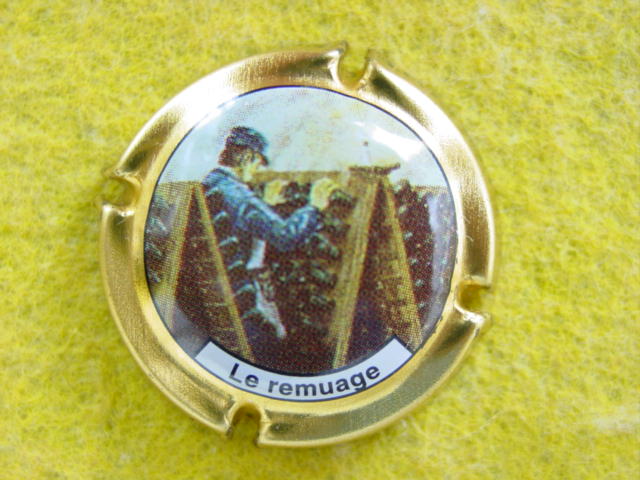 Photo de la capsule