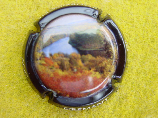 Photo de la capsule