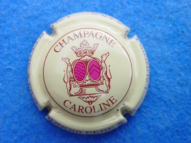 Photo de la capsule