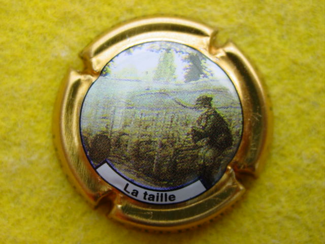 Photo de la capsule