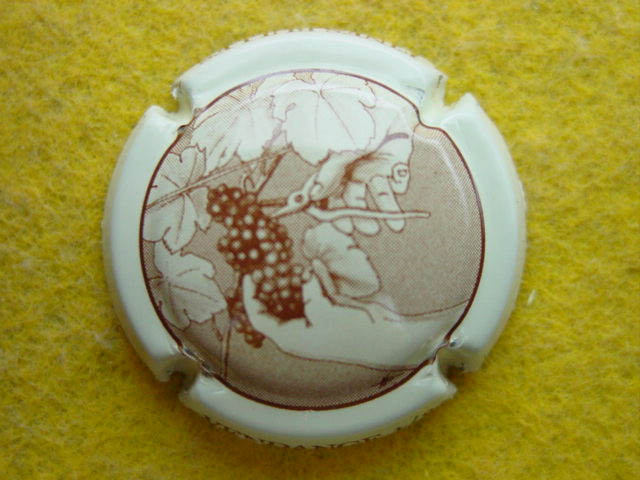 Photo de la capsule