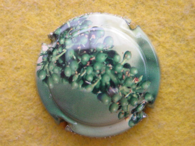 Photo de la capsule