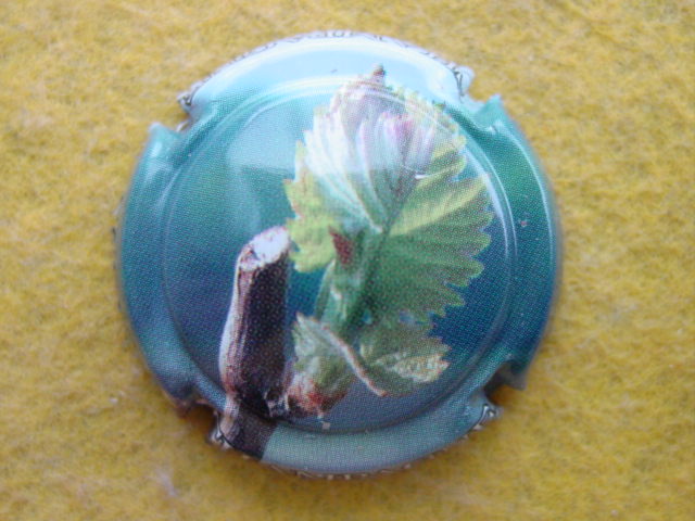 Photo de la capsule