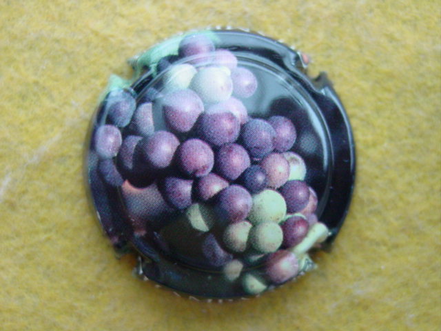 Photo de la capsule