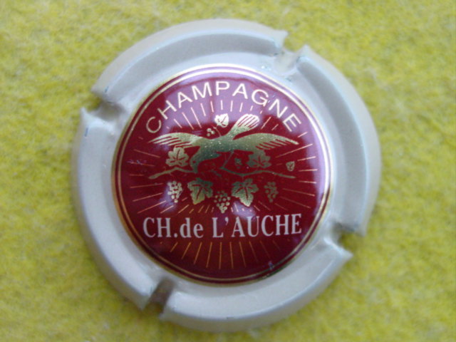 Photo de la capsule