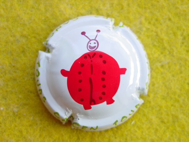 Photo de la capsule