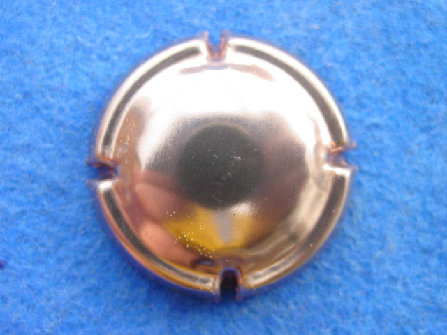 Photo de la capsule