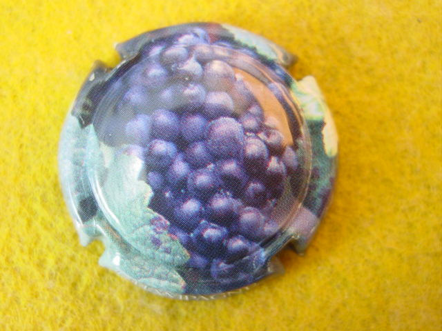 Photo de la capsule