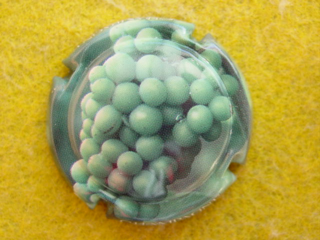 Photo de la capsule