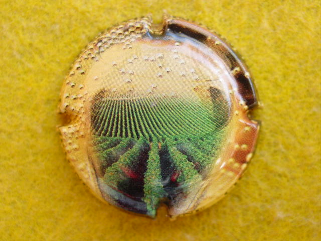 Photo de la capsule